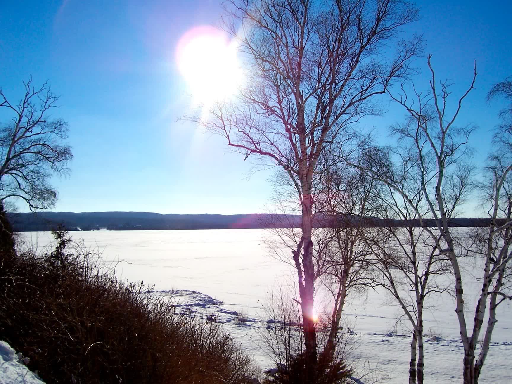 winter06various_016.jpg